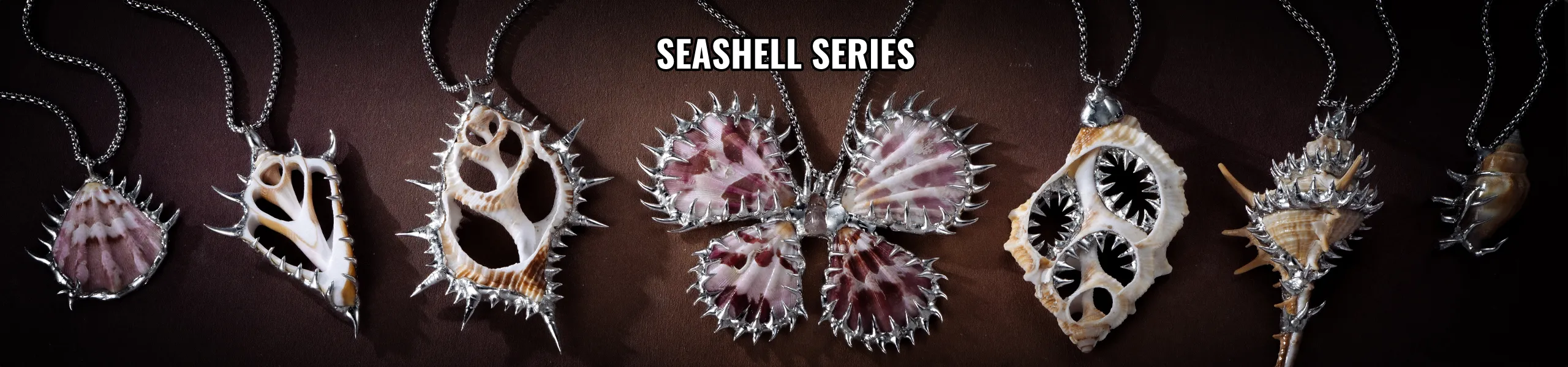 SEASHELL SERIES