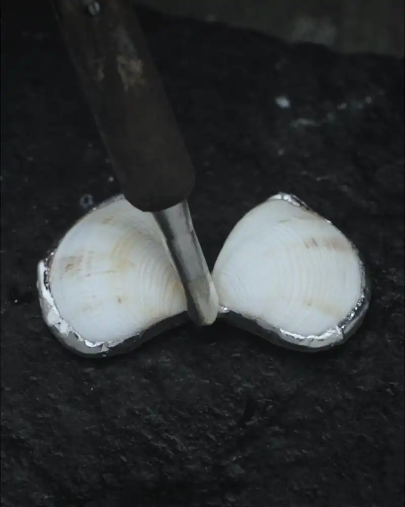 Spined Wing, Metamorphic Soldered Seashell Necklace - view 1